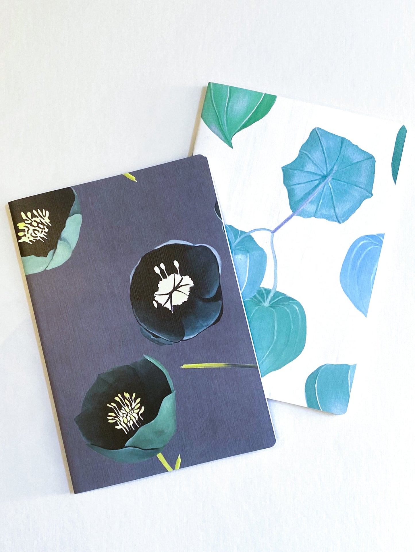 Notebook Set: Aqua Chinese Lanterns & Green Winter Rose