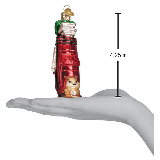 Squirrel house ornament
